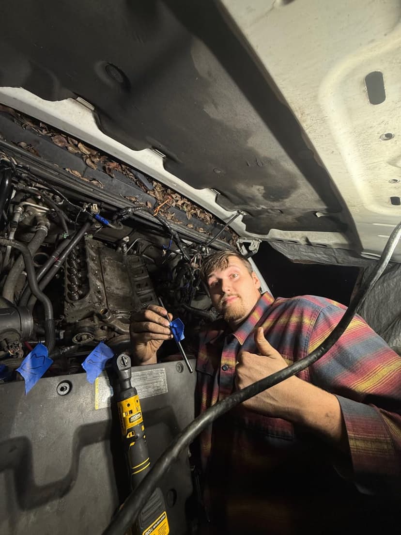 Large backyard with freshly cut green grass after professional lawn mowing in Cleveland, Ohio